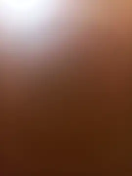 Snapshot of wildfox566 chatting on 06-14-26, 03:52 wildfox566 online show from 06-14-26, 03:52