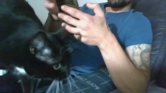 Kevoon991 online show from 11-20-25, 08:47