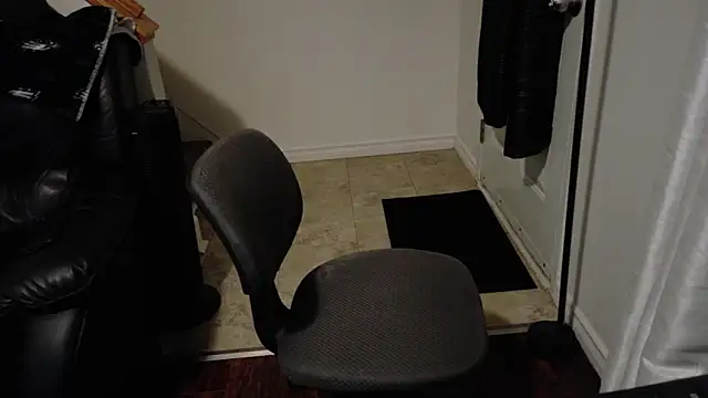 Snapshot of Thekodyy chatting on 12-04-25, 12:53 Thekodyy online show from 12-04-25, 12:53