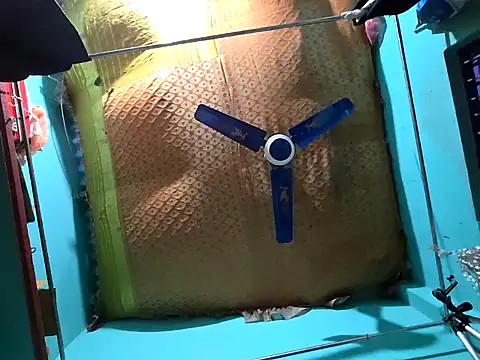 Snapshot of hotbaby_5 chatting on 12-14-24, 09:29 hotbaby 5 online show from 12-14-24, 09:29