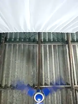 hotbaby 5 online show from 11-01-25, 12:34