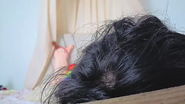 Katiaflex online show from 03-02-26, 03:41