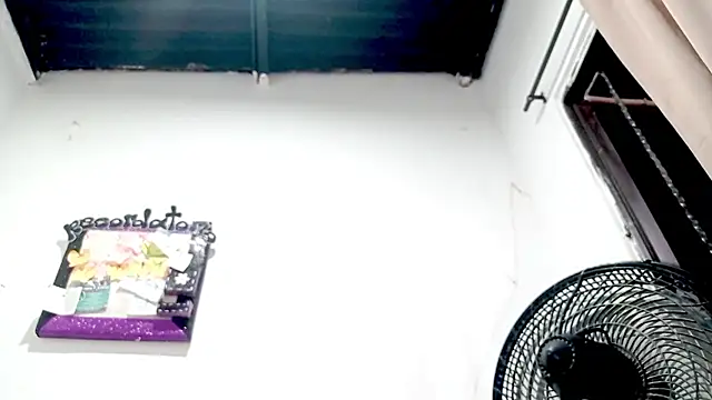 PetiteIvoryQueen19 online show from 11-18-25, 03:34