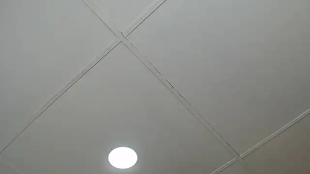 dannaberlin 0 online show from 03-08-25, 12:20