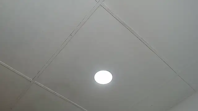 dannaberlin 0 online show from 03-13-25, 12:46