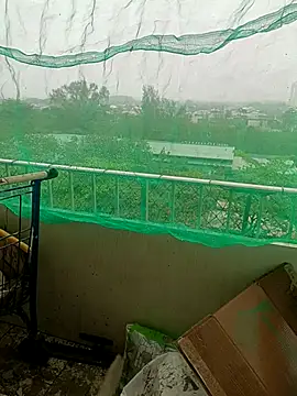 Pau de mel20 online show from 10-08-25, 10:35