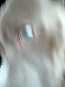 hoesinthishouse78 online show from 11-22-25, 08:52