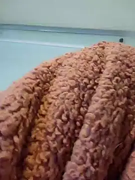 Snapshot of 911Calling chatting on 12-14-24, 04:01 911Calling online show from 12-14-24, 04:01