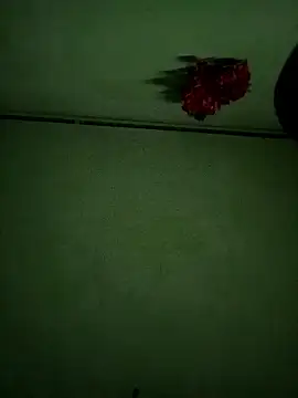 zico895 online show from 05-15-26, 11:34