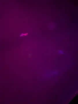 Snapshot of Alahia7demon chatting on 03-22-26, 10:18 Alahia7demon online show from 03-22-26, 10:18