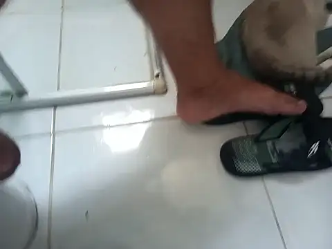 Snapshot of lobomisterioso13 chatting on 02-24-26, 11:41 lobomisterioso13 online show from 02-24-26, 11:41