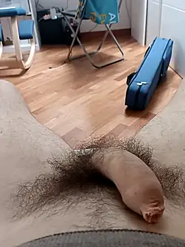 the lion 69 online show from 02-11-26, 09:14