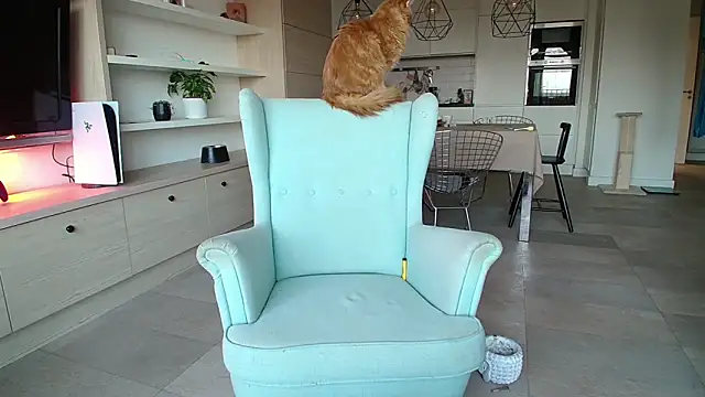 Snapshot of Kotis_Foxy chatting on 10-03-25, 02:58 Kotis Foxy online show from 10-03-25, 02:58