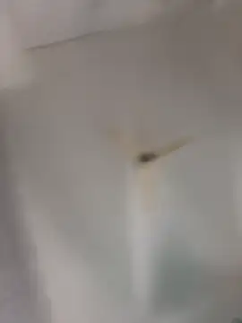 Snapshot of playboy_30 chatting on 11-16-25, 09:04 playboy 30 online show from 11-16-25, 09:04