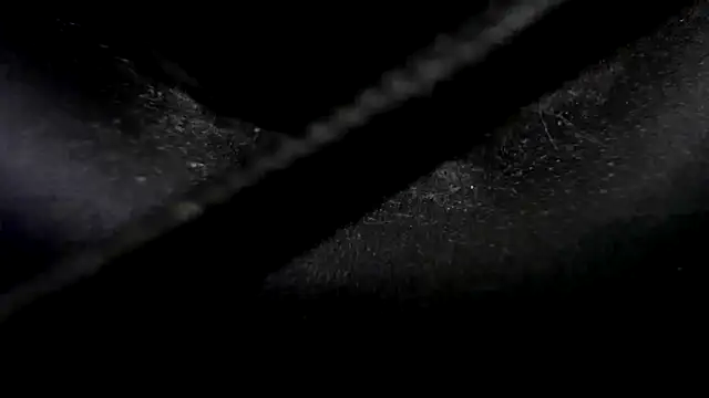 Niquitasparkles online show from 01-23-25, 10:33