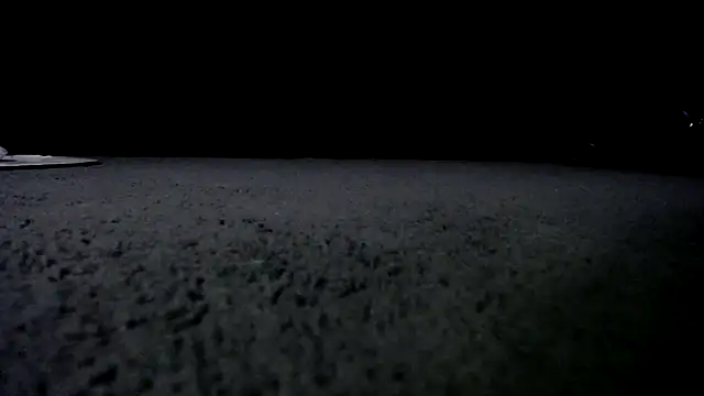 Niquitasparkles online show from 01-24-25, 10:00