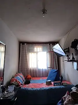 Dani pegin online show from 11-15-25, 03:52