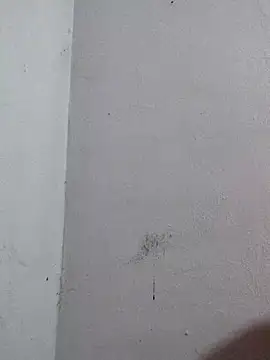 Negrocomedo online show from 03-06-26, 01:51