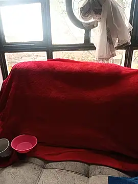 Tefannyy  online show from 06-17-26, 02:07