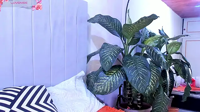 Mindy sweety online show from 03-06-25, 07:54