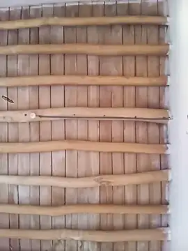 Snapshot of Atabey_65 chatting on 12-03-25, 12:03 Atabey 65 online show from 12-03-25, 12:03