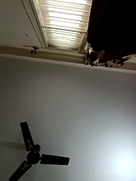 Snapshot of blr_boi chatting on 12-03-25, 06:54 blr boi online show from 12-03-25, 06:54