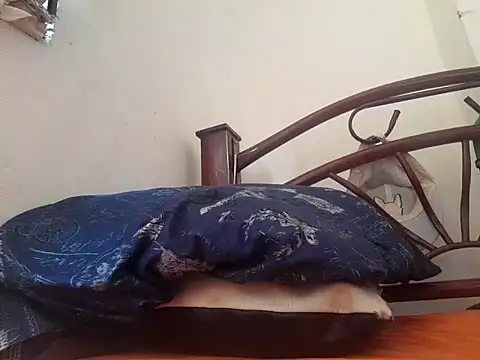  afrodita sex online show from 02-10-25, 07:49