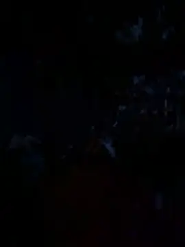 Snapshot of janberlin chatting on 06-19-26, 01:43 janberlin online show from 06-19-26, 01:43