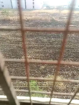 Snapshot of 1010SumiT chatting on 01-27-25, 03:58 1010SumiT online show from 01-27-25, 03:58