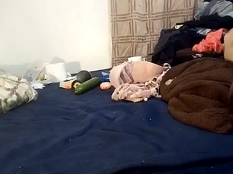 Snapshot of gemini12838 chatting on 11-27-25, 06:10 gemini12838 online show from 11-27-25, 06:10