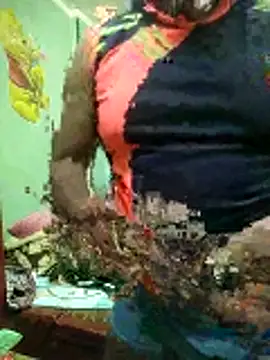 Snapshot of ShelfyOfferer chatting on 01-31-26, 11:14 ShelfyOfferer online show from 01-31-26, 11:14