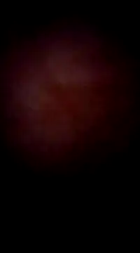 garchapatagonica online show from 12-23-24, 04:44