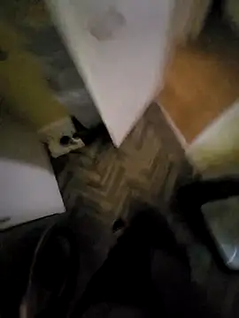 Snapshot of Polish41 chatting on 03-31-26, 06:58 Polish41 online show from 03-31-26, 06:58