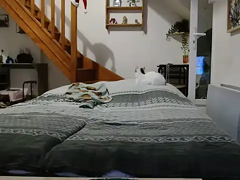 Snapshot of Lauzo21 chatting on 12-05-25, 06:33 Lauzo21 online show from 12-05-25, 06:33