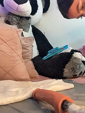 Snapshot of IamSteph13 chatting on 03-02-26, 07:15 IamSteph13 online show from 03-02-26, 07:15