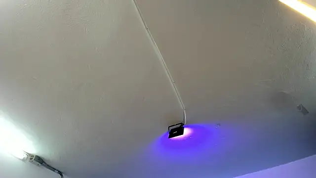 Amy Kiitty  online show from 11-21-25, 12:37