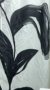 Snapshot of B_and_K chatting on 12-29-24, 04:38 B and K online show from 12-29-24, 04:38