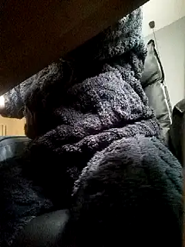 Snapshot of JJBOY-SF chatting on 03-14-25, 09:14 JJBOY-SF online show from 03-14-25, 09:14