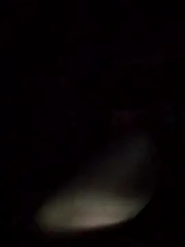 Snapshot of axelongshaft69 chatting on 03-09-26, 12:53 axelongshaft69 online show from 03-09-26, 12:53