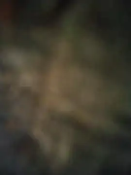 Snapshot of axelongshaft69 chatting on 04-07-26, 06:52 axelongshaft69 online show from 04-07-26, 06:52