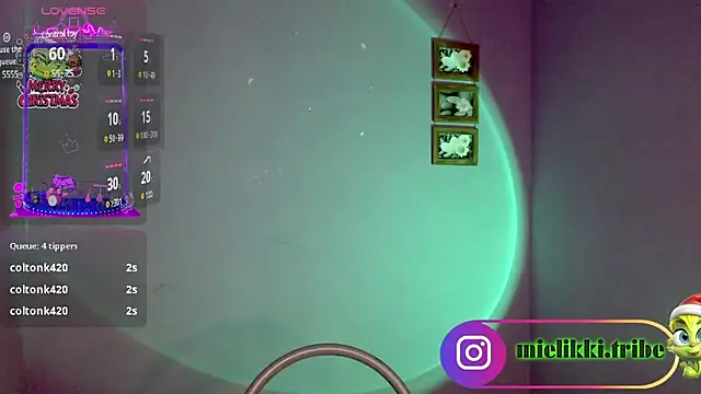 mielikki001 online show from 01-01-25, 05:43