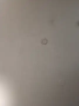 geilerschwanz64 online show from 01-15-25, 08:37