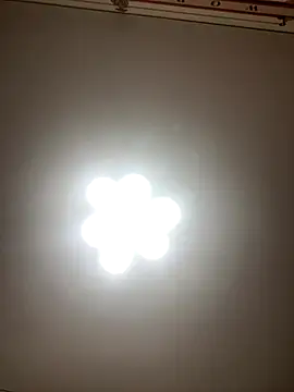 Janet Welder online show from 12-01-25, 02:38