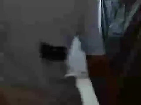 Snapshot of latino_hotxxx chatting on 10-20-25, 11:27 latino hotxxx online show from 10-20-25, 11:27