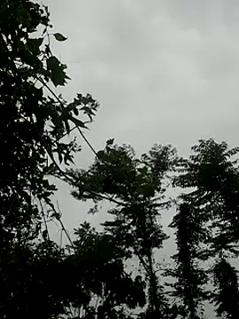 Snapshot of kumaricapalsex2 chatting on 01-27-25, 04:20 kumaricapalsex2 online show from 01-27-25, 04:20