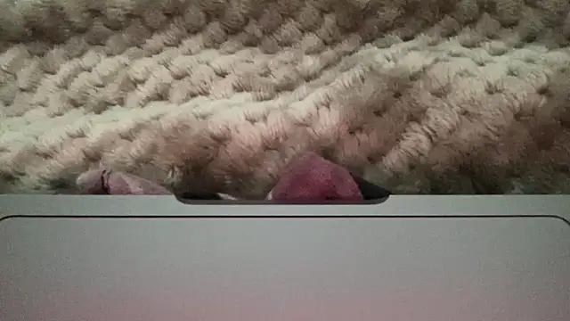 Snapshot of thick_n_hard chatting on 12-14-24, 09:51 thick n hard online show from 12-14-24, 09:51