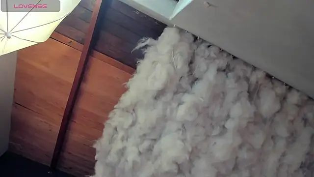 Layla 707 online show from 04-28-26, 07:19