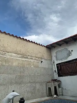 Leo bunny hot online show from 10-13-25, 08:42