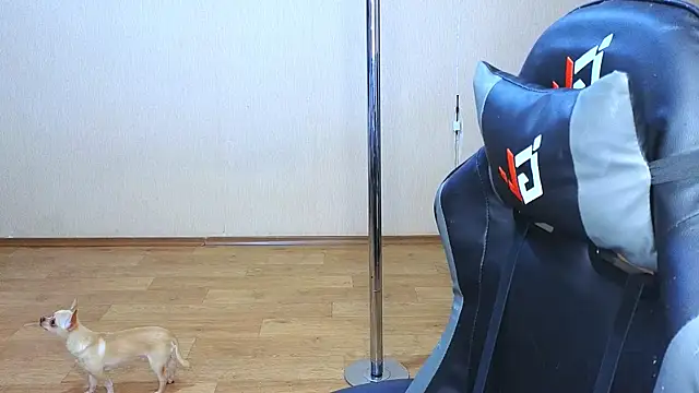 Snapshot of doll_barbieee chatting on 03-09-25, 05:06 doll barbieee online show from 03-09-25, 05:06