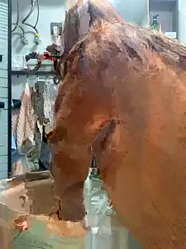 Snapshot of Aimeil chatting on 11-18-25, 03:27 Aimeil online show from 11-18-25, 03:27